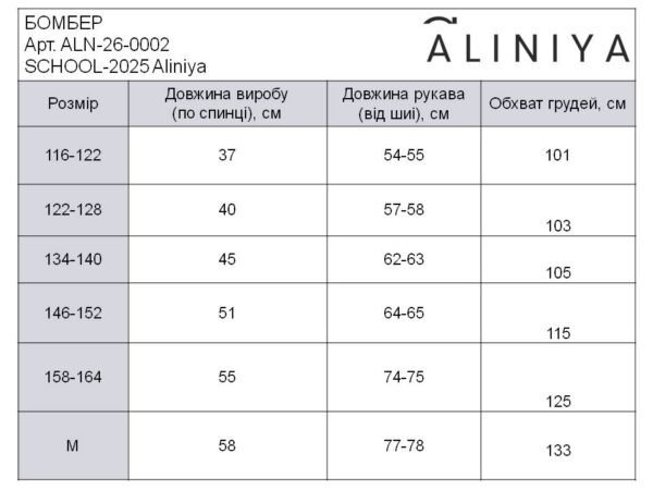 БОМБЕР сірий SCHOOL 2025 - Зображення 5