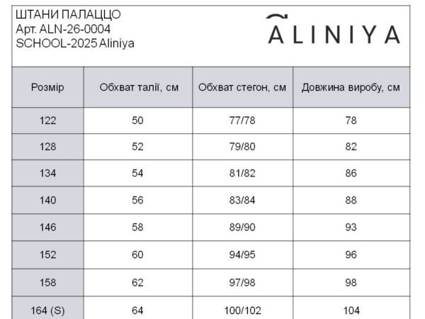 ШТАНИ для хлопчика сірі SCHOOL 2025 - Зображення 5